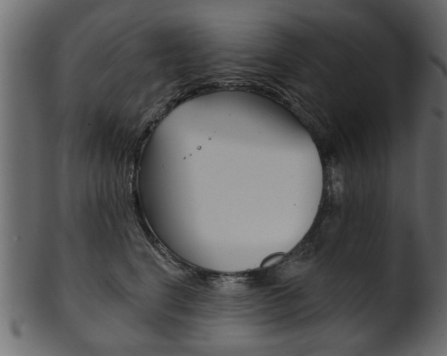 X0000102020664200807180944