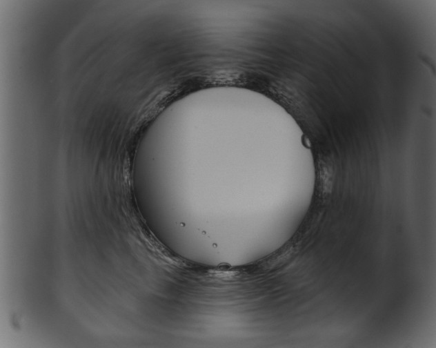 X0000102020665200807180944