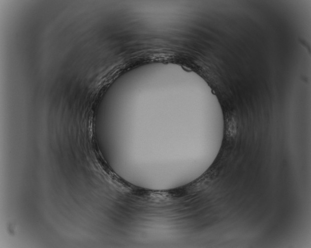 X0000102020666200807180944