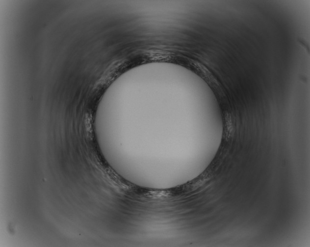 X0000102020667200807180944