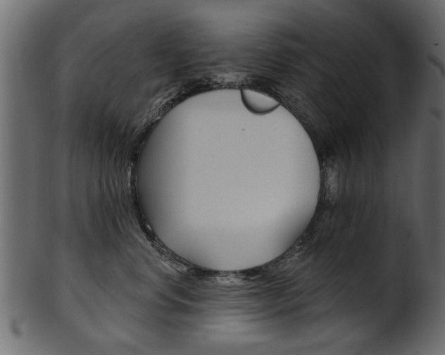 X0000102020668200807180944