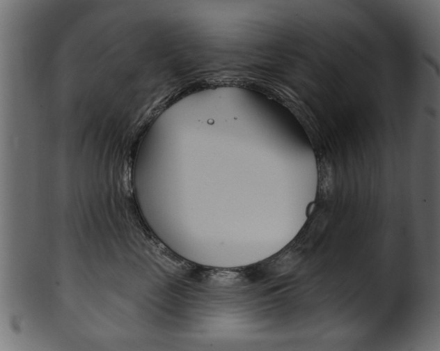 X0000102020669200807180944
