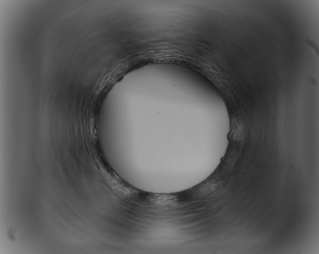 X0000102020670200807180944