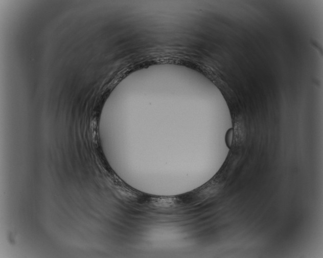X0000102020671200807180944