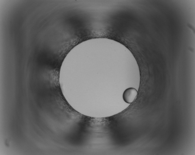 X0000102020672200807180944