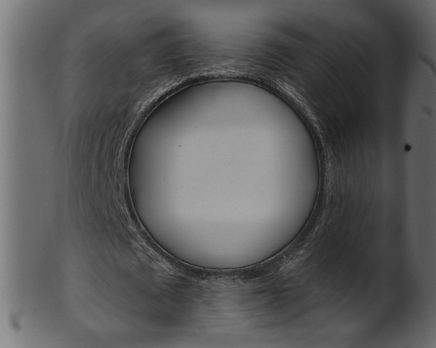 X0000102020673200807180944