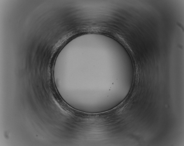 X0000102020674200807180944
