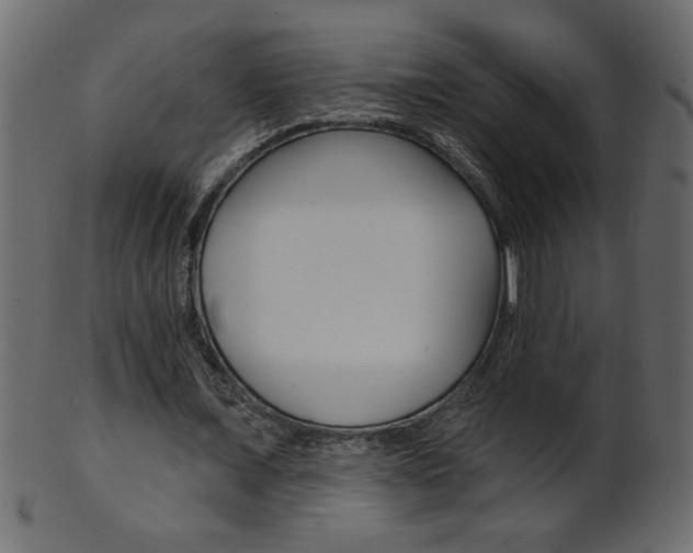 X0000102020675200807180944