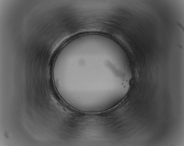 X0000102020676200807180944