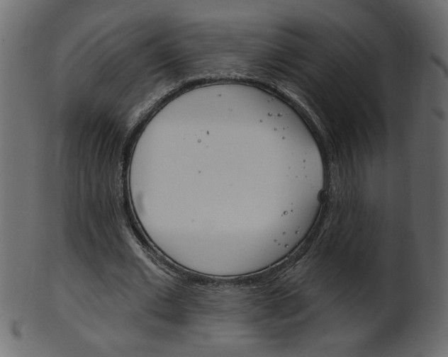 X0000102020677200807180944