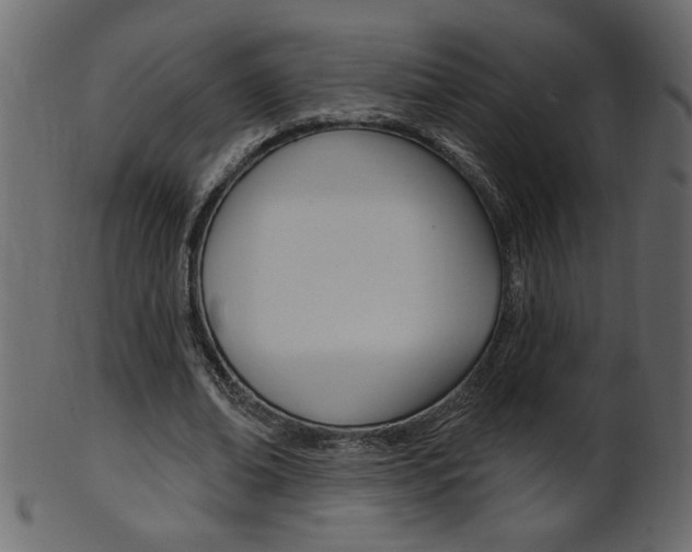 X0000102020678200807180944