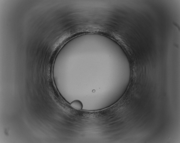 X0000102020679200807180944