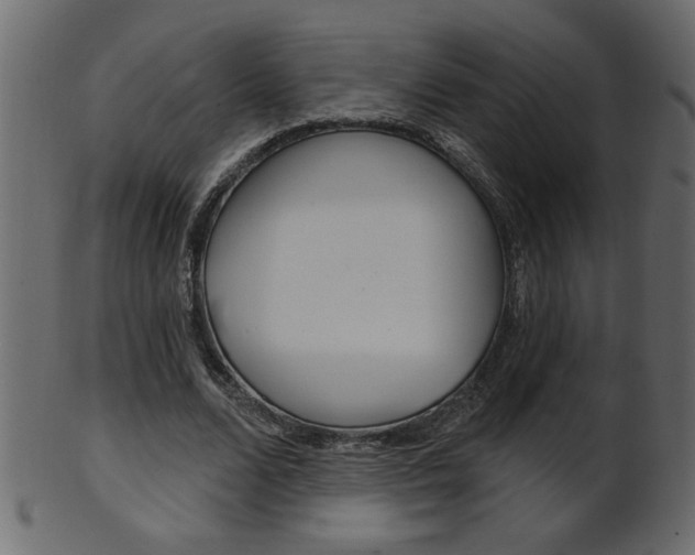 X0000102020680200807180944