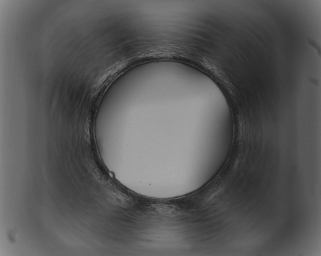 X0000102020681200807180944