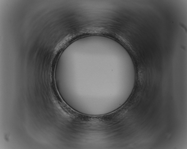X0000102020682200807180944