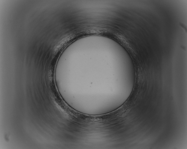 X0000102020683200807180944