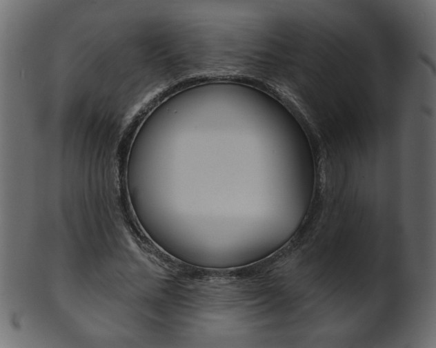 X0000102020684200807180943
