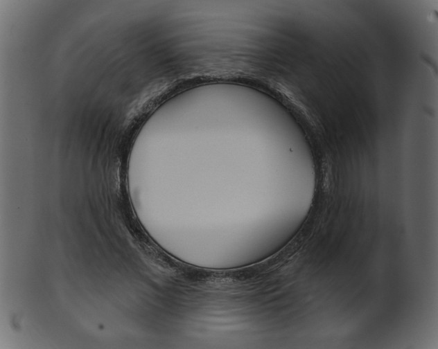 X0000102020685200807180943