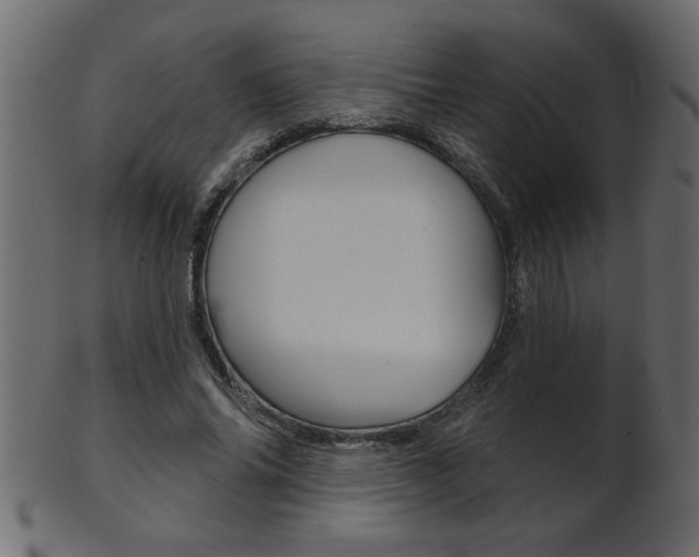 X0000102020686200807180943