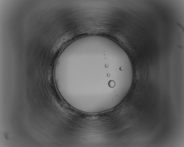 X0000102020687200807180943