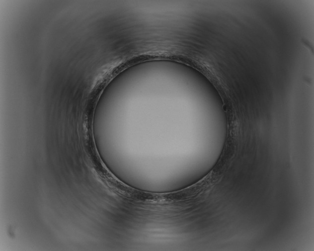 X0000102020688200807180943