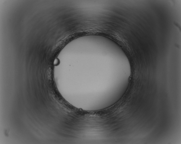 X0000102020689200807180943