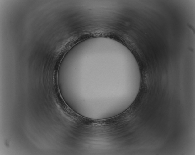 X0000102020690200807180943