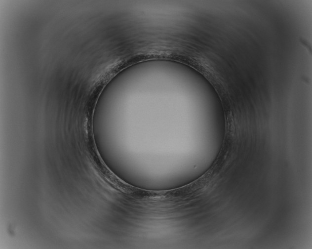 X0000102020692200807180943
