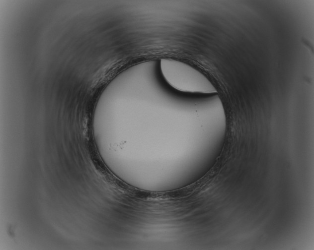 X0000102020693200807180943