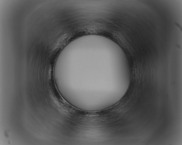X0000102020694200807180943