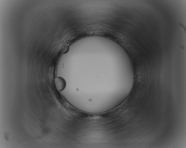 X0000102020695200807180943