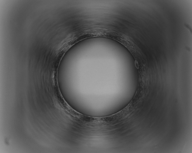 X0000102020696200807180943