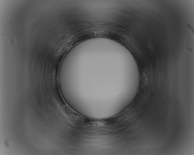 X0000102020698200807180943