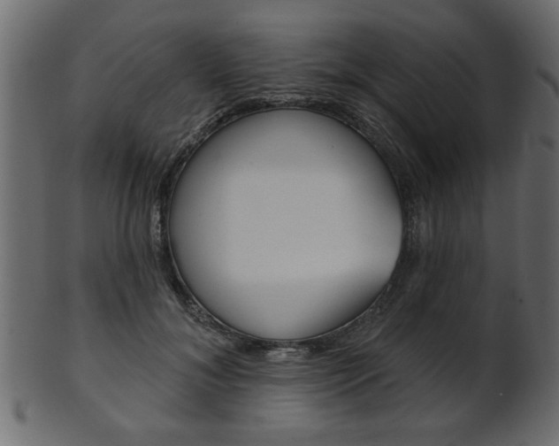 X0000102020700200807180943