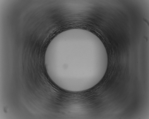 X0000102020701200807180943