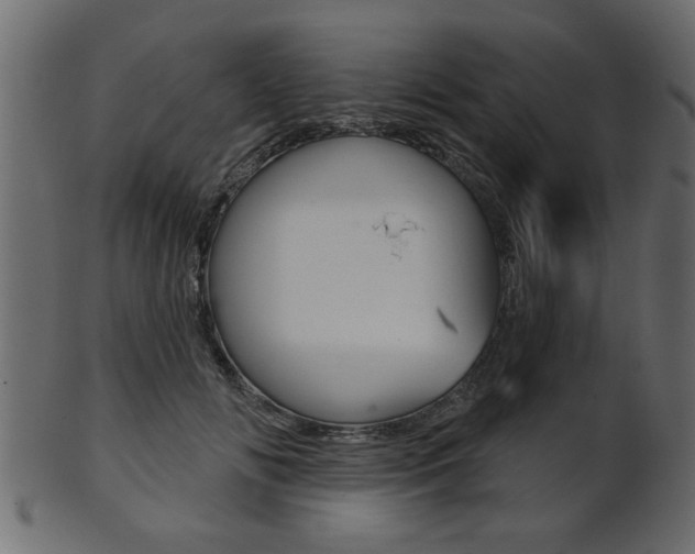 X0000102020702200807180943