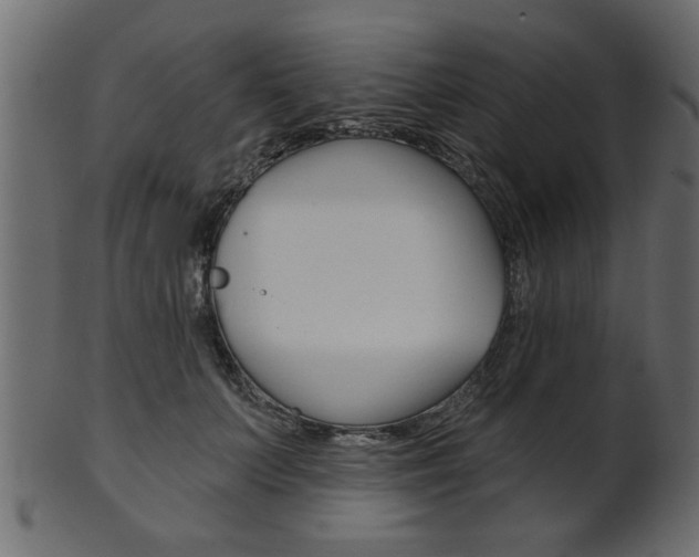 X0000102020703200807180943