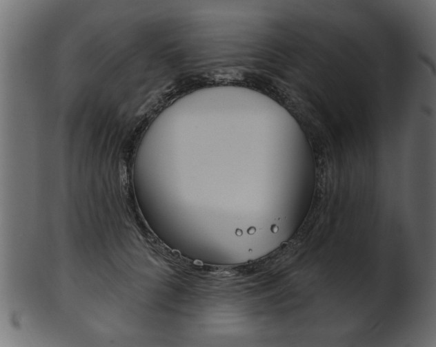 X0000102020704200807180943