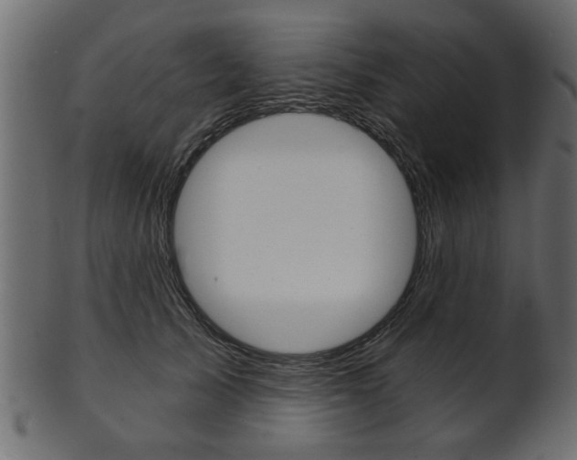 X0000102020705200807180943
