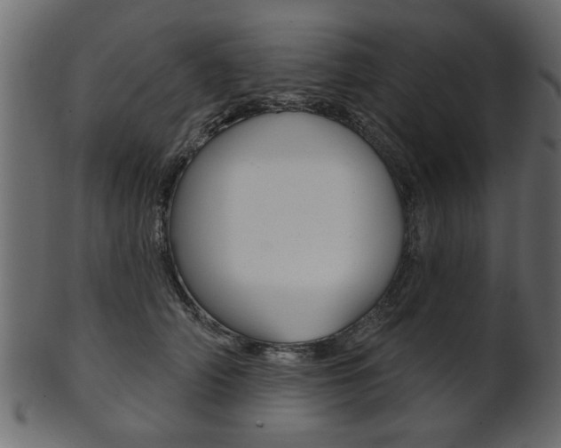 X0000102020706200807180943
