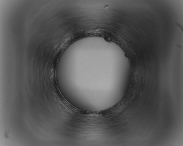 X0000102020708200807180943