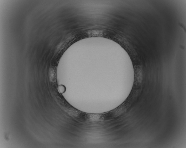 X0000102020709200807180943