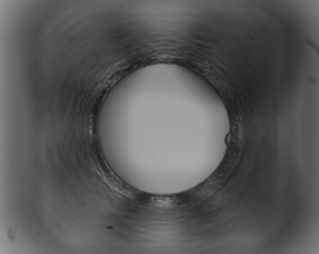 X0000102020710200807180943