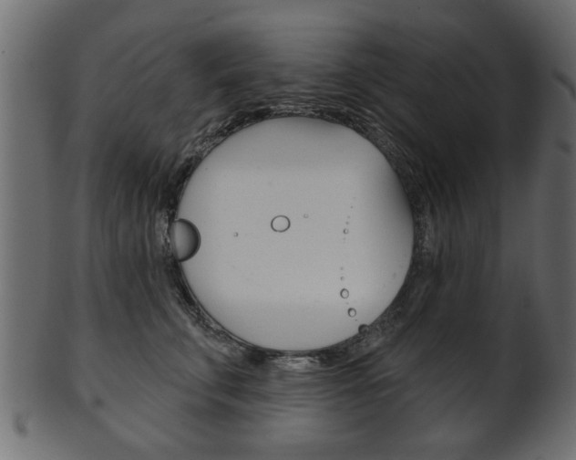 X0000102020711200807180943