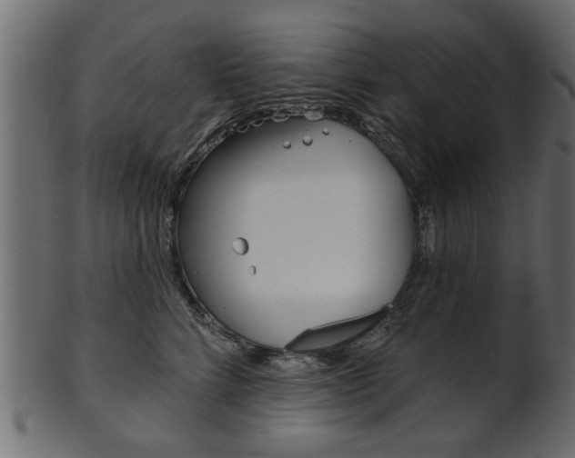 X0000102020712200807180943