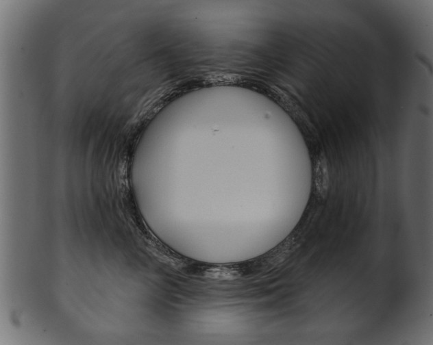 X0000102020714200807180943