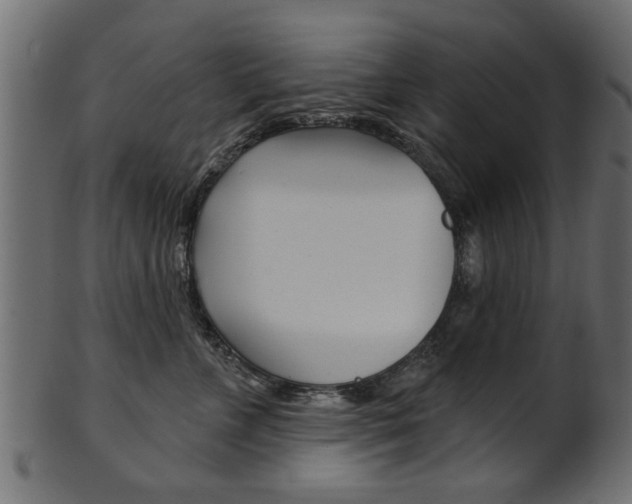 X0000102020715200807180943