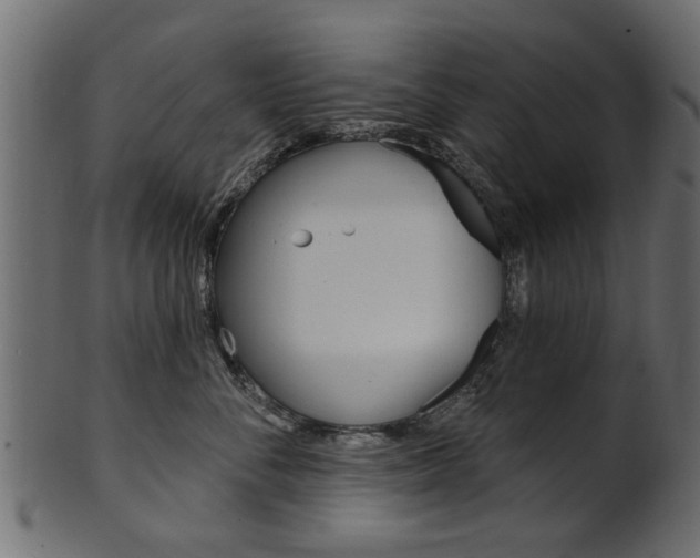 X0000102020716200807180943