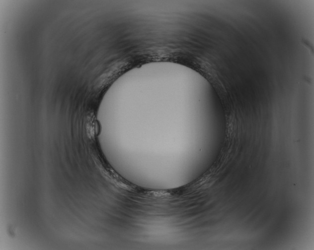 X0000102020719200807180943