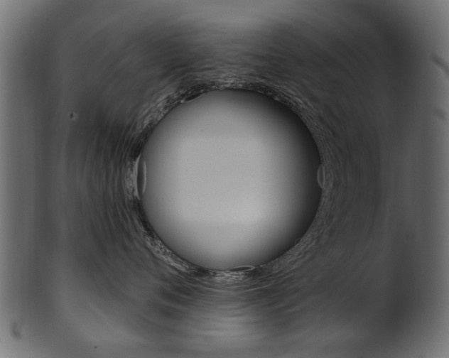 X0000102020720200807180943